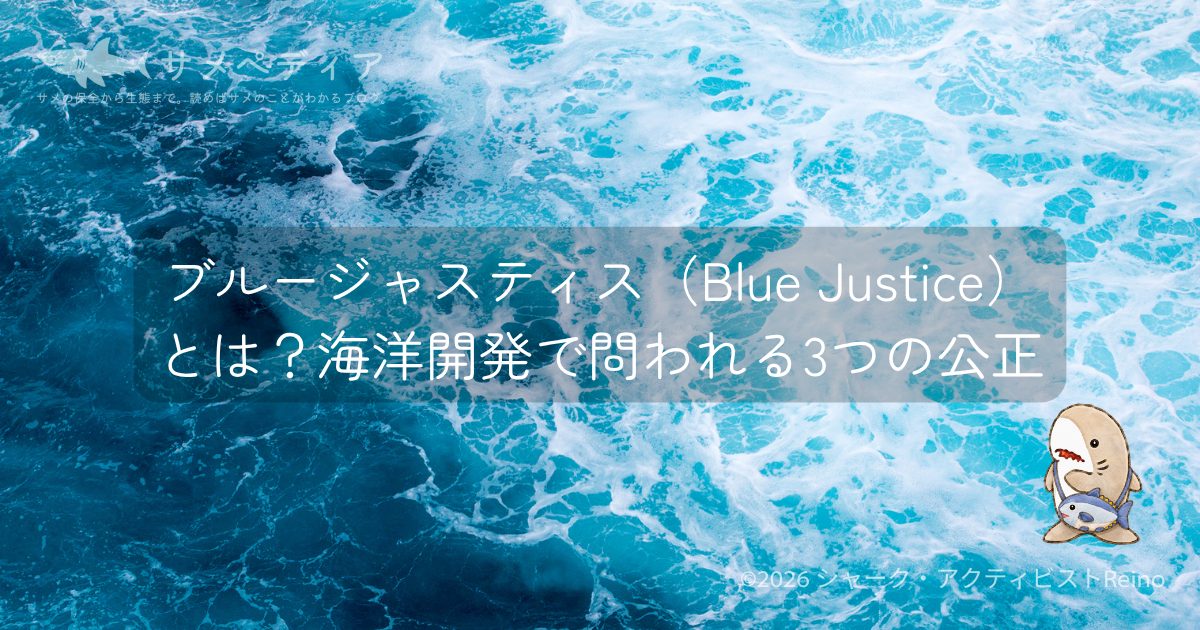 ブルージャスティス(Blue Justice)とは?海洋開発で問われる3つの公正 ブルージャスティス(Blue Justice)とは?海洋開発で問われる3つの公正