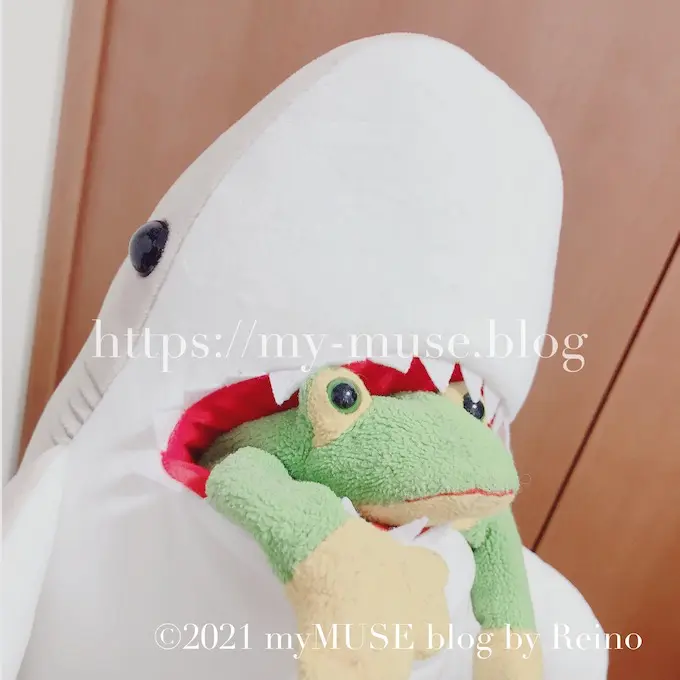 昔のtyぬいぐるみ好きなわたしが語るビーニーベイビーズのカエルたちと