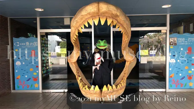 超希少 油壺マリンパーク キーホルダー 閉館 京急油壺マリンパークの閉館についてサメ好きが思うこと - サメぺ