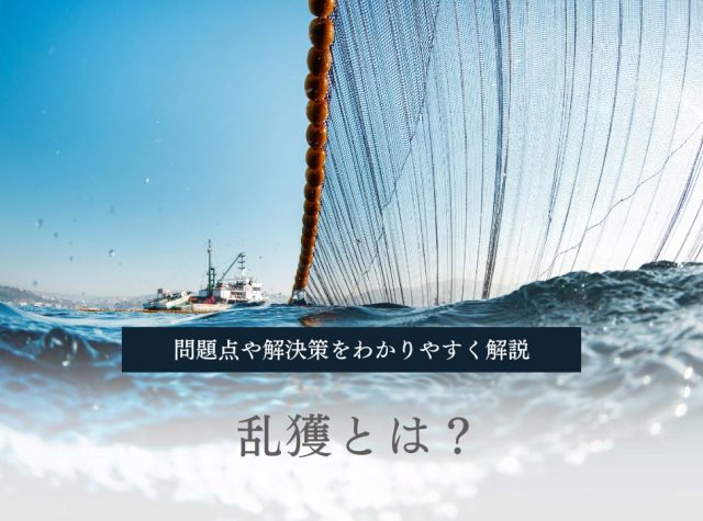 ゴーストフィッシングとは？サメの事例、対策などについてわかりやすく解説 - サメぺディア by シャーク・アクティビストReino