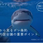 サメ保全から見るボン条約（CMS）第15回締約国会議の重要ポイント