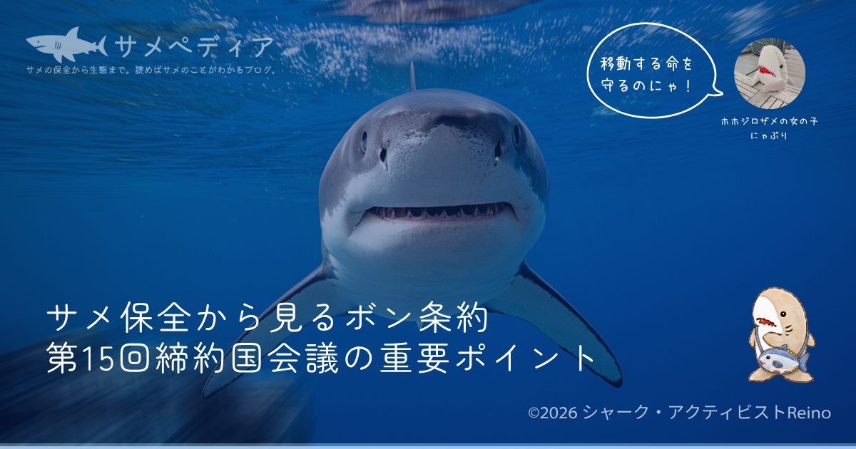 サメ保全から見るボン条約(CMS)第15回締約国会議の重要ポイント